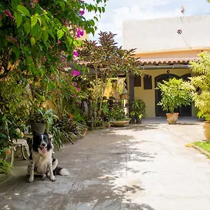 Bed and breakfast No Jardim - Dos Anjos, Arraial do Cabo